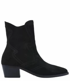 Shelly Coop Sierra Nero