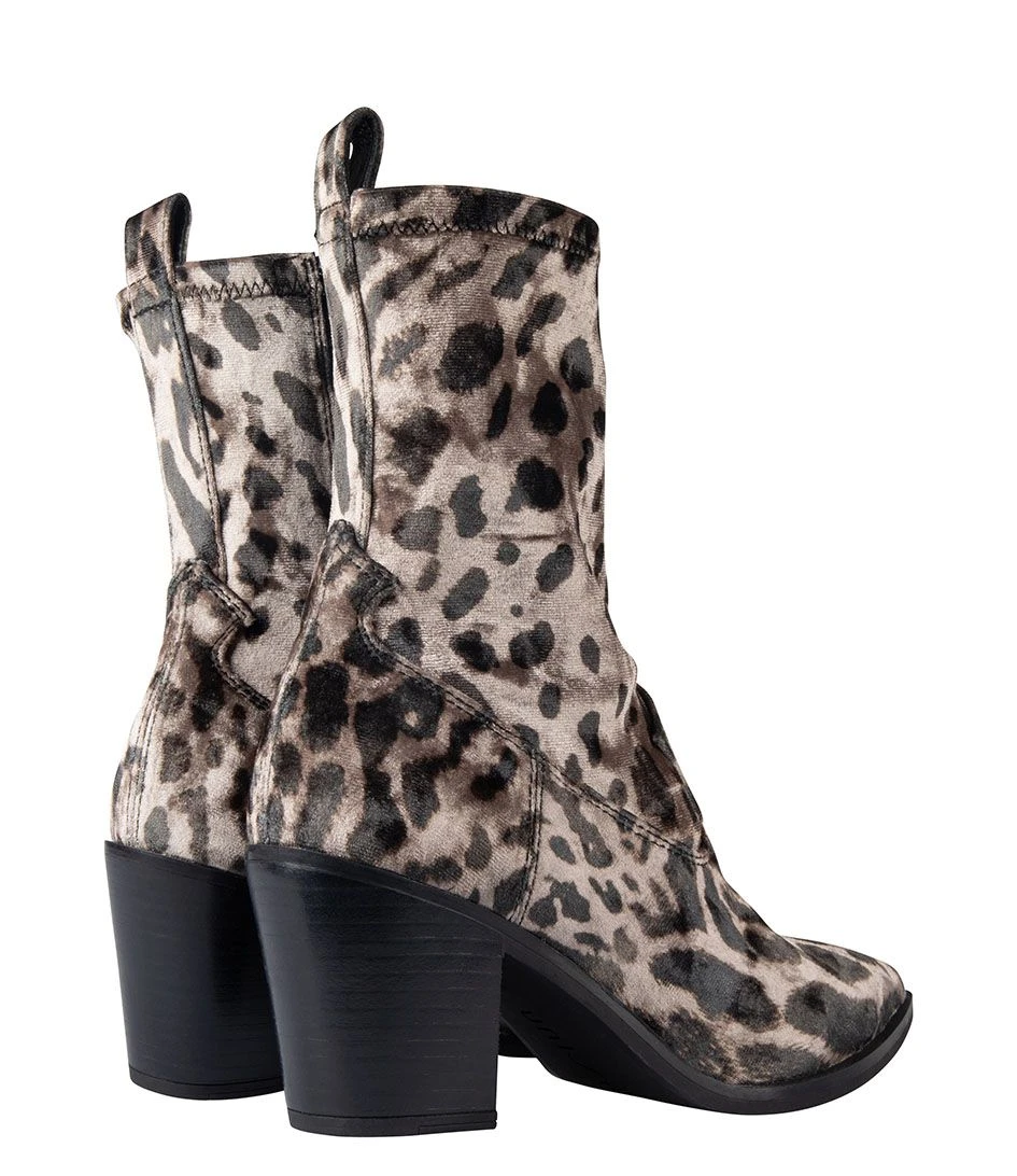 Unisa Mar Leo â Image 2