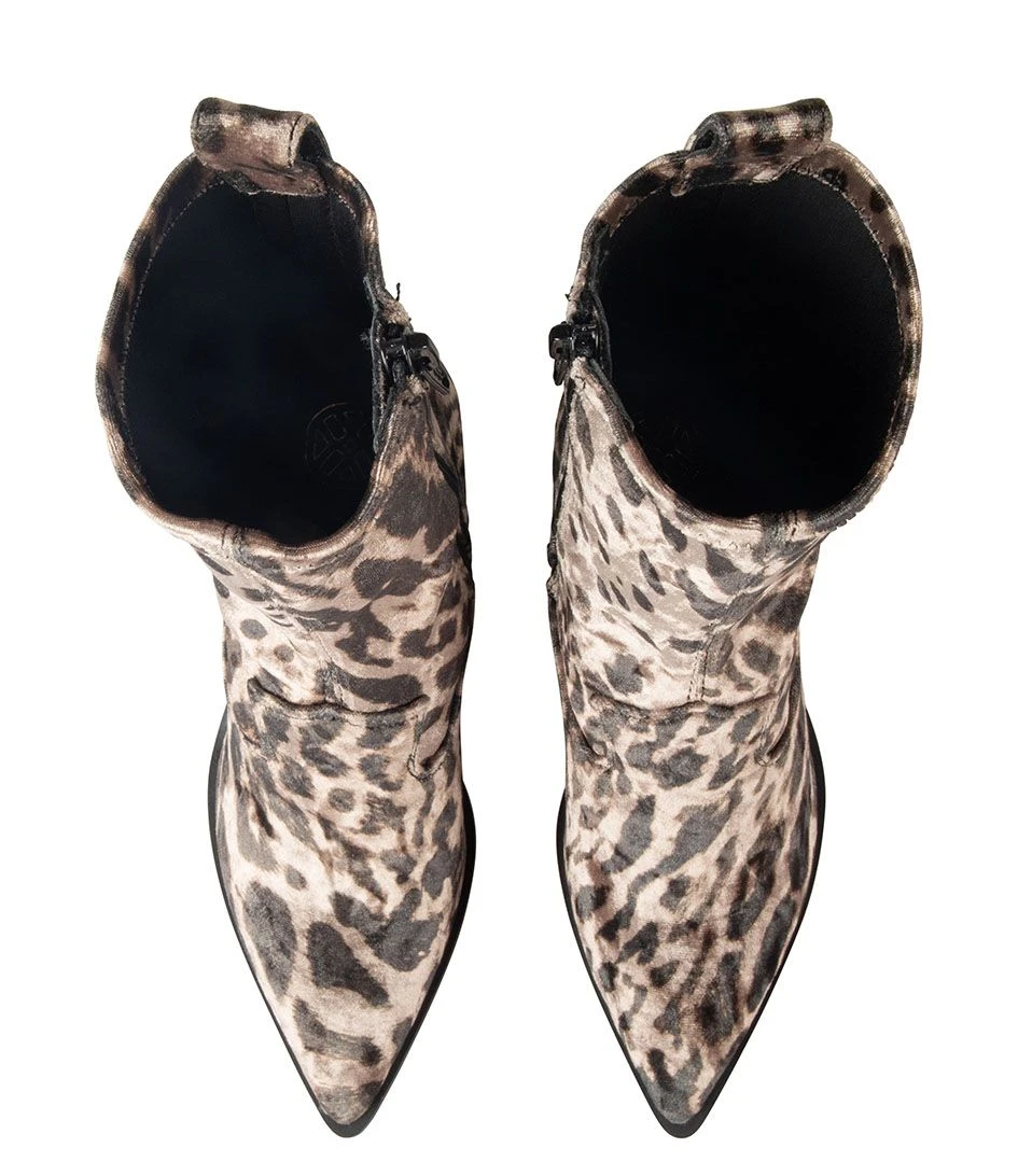 Unisa Mar Leo â Image 4